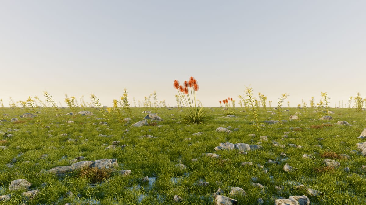 Grass Color Grading